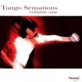 tango-sensations-1.jpg