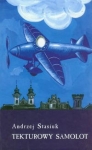 tekturowy-samolot.jpg