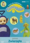 teletubisie-uczmy-sie-angielskiego-2.jpg