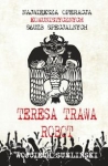 teresa-trawa-robot-2.jpg
