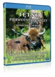 tetno-pierwotnej-puszczy.jpg
