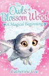 the-owls-of-blossom-wood-a-magical-beginning.jpg