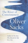 the-river-of-consciousness.jpg