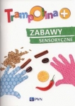 trampolina-zabawy-sensoryczne.jpg