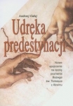 udreka-predystynacji.jpg