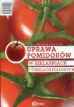 uprawa-pomidorow-w-szklarniach-i-tunelach-foliowych.jpg