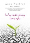 uwieziony-krzyk.jpg