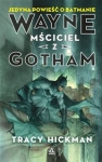wayne-msciciel-z-gotham.jpg