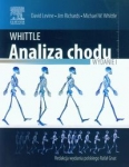 whittle-analiza-chodu.jpg