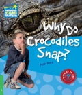 why-do-crocodiles-snap-3-factbook.jpg