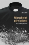 wierzcholek-gory-lodowej.jpg