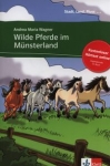 wilde-pferde-im-munsterland-cd.jpg