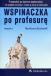 wspinaczka-po-profesure.jpg