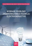 wybrane-problemy-zrownowazonego-rozwoju-elektroenergetyki.jpg