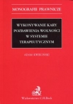 wykonywanie-kary-pozbawienia-wolnosci-w-systemie-terapeutycznym.jpg