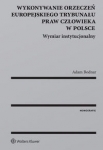 wykonywanie-orzeczen-europejskiego-trybunalu-praw-czlowieka-w-polsce.jpg