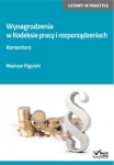 wynagrodzenia-w-kodeksie-pracy-i-rozporzadzeniach-komentarz.jpg