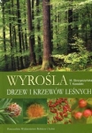 wyrosla-drzew-i-krzewow-lesnych.jpg
