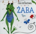zaba-8.jpg