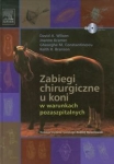 zabiegi-chirurgiczne-u-koni-w-warunkach-pozaszpitalnych.jpg