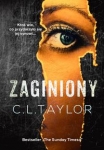 zaginiony-3.jpg