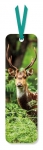 zakladka-do-ksiazki-chital-deer-opakowanie-2-sztuki.jpg