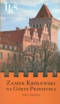 zamek-krolewski-na-gorze-przemysla.jpg