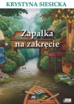 zapalka-na-zakrecie-7.jpg