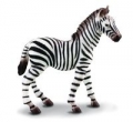zebra-zrebie-m.jpg