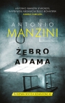 zebro-adama-3.jpg