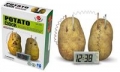 zestaw-kreatywny-eko-zegar-z-ziemniaka-potato.jpg