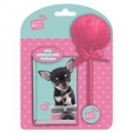 zestaw-studio-pets-chihuahua.jpg