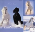 zeszyt-a4-top-2000-w-kratke-60-kartek-winter-horses-mix.jpg