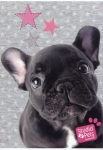 zeszyt-a5-studio-pets-w-kratke-16-kartek.jpg