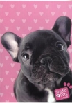 zeszyt-a5-studio-pets-w-linie-32-kartki-1.jpg