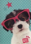 zeszyt-a5-studio-pets-w-linie-32-kartki-pies.jpg