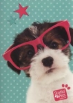zeszyt-a5-studio-pets-w-trzy-linie-16-kartek-pies.jpg