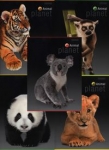 zeszyt-a5-top-2000-w-linie-60-kartek-animal-planet-mix.jpg