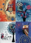 zeszyt-a5-top-2000-w-linie-60-kartek-sowy-10-sztuk-mix.jpg