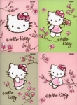 zeszyt-a5-top-2000-w-trzy-linie-16-kartek-hello-kitty-magnolia-mix.jpg