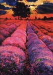 zeszyt-a5-top2000-w-kratke-96-kartek-art.jpg