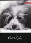 zeszyt-a5-w-kratke-96-kartek-cat-dog.jpg