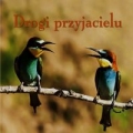ziarenka-10-drogi-przyjacielu.jpg