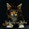 ziarenka-17-tesknie-za-toba.jpg