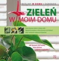 zielen-w-moim-domu.jpg