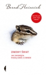 zimowy-swiat.jpg