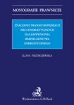 znaczenie-transeuropejskich-sieci-energetycznych-dla-zapewnienia-bezpieczenstwa-energetycznego.jpg