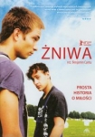 zniwa.jpg