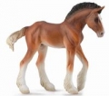 zrebie-clydesdale-bay-konie-m.jpg