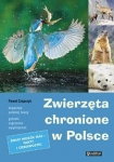 zwierzeta-chronione-w-polsce-9.jpg